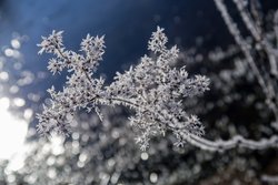 free photos Winter vereist