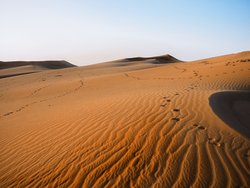 Kostenlose Bilder - Sommer, Dünen 