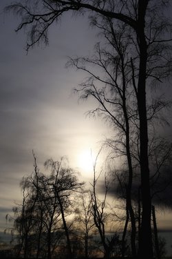Gratis-Fotos Winter Sonnenuntergang