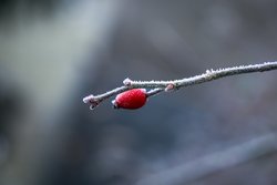 free photos Winter Natur