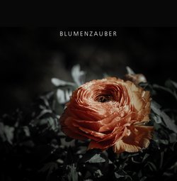 Kostenlose Fotos - Sommer, Blume