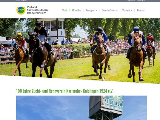 Verband Südwestdeutscher