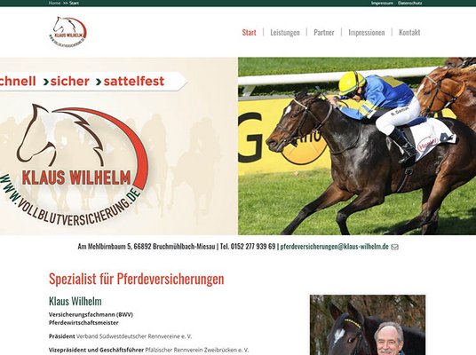 Pferdeversicherungen